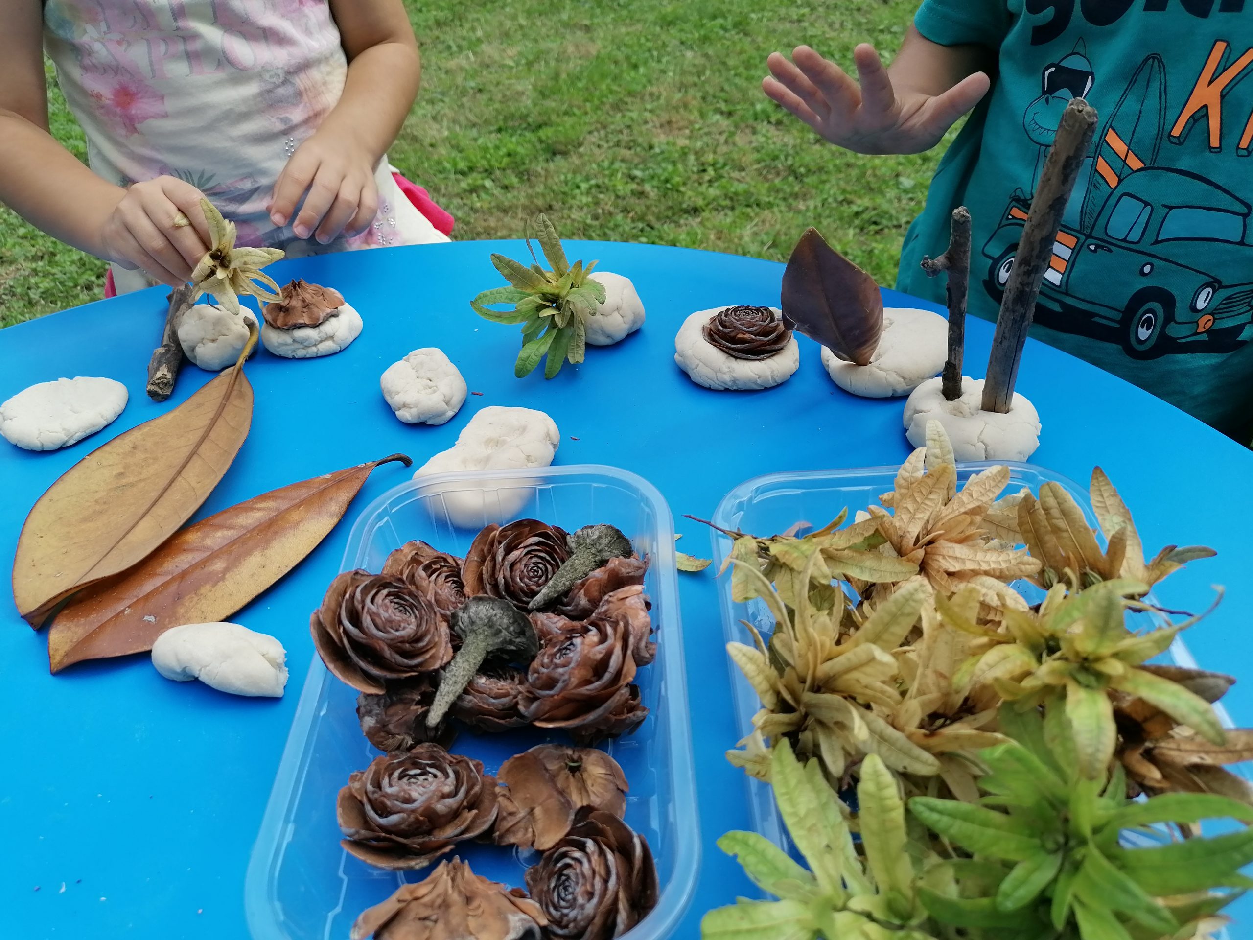 Krocus-Laboratori -Aggregazione-0-3_i